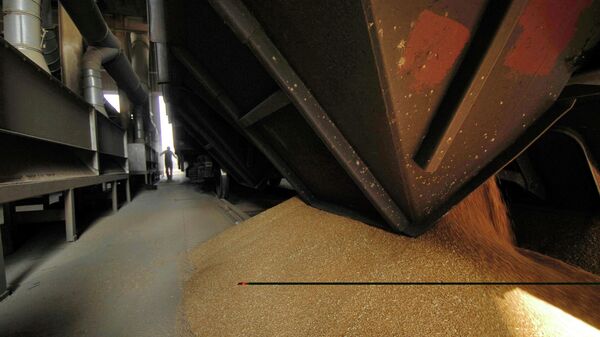 Rusya, Azerbaycan üzerinden Ermenistan’a ilk tahıl sevkiyatını gerçekleştirdi