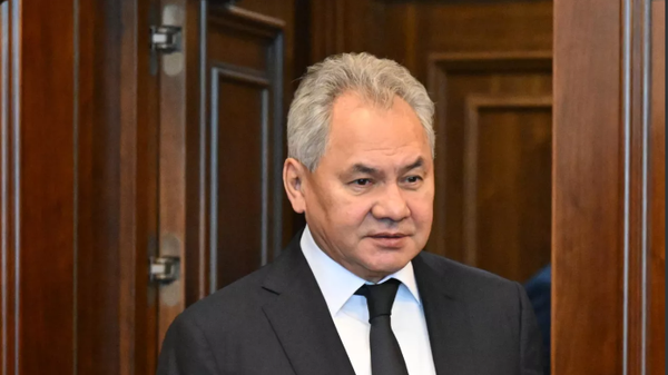 Rusya Güvenlik Konseyi Sekreteri Şoygu Kahire’de